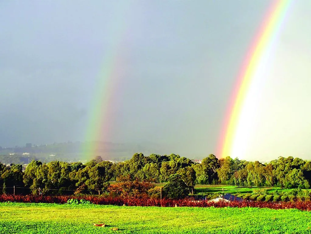 Cana Vineyard Guesthouse 4*, Paarl Afrique du Sud
