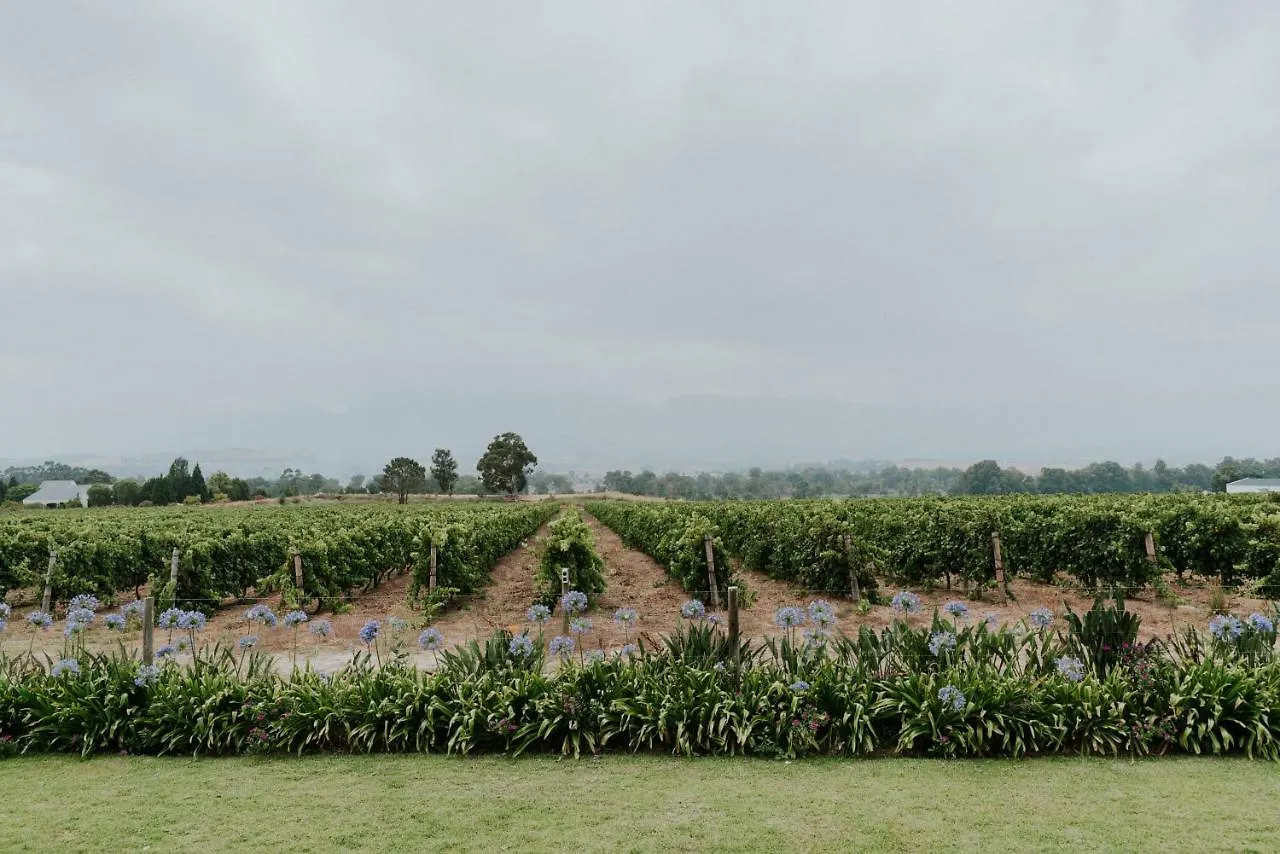 Cana Vineyard Guesthouse Paarl